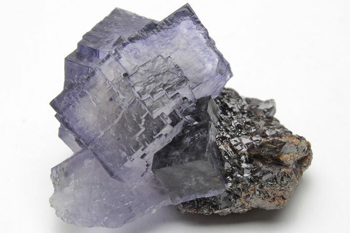 Purple Cubic Fluorite Crystals on Sphalerite - Elmwood Mine #208783